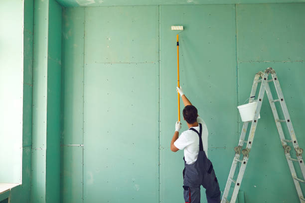 Parkersburg, WV Mold Removal Company