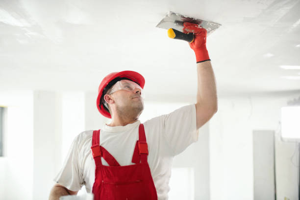 Best Basement Mold Removal  in Parkersburg, WV